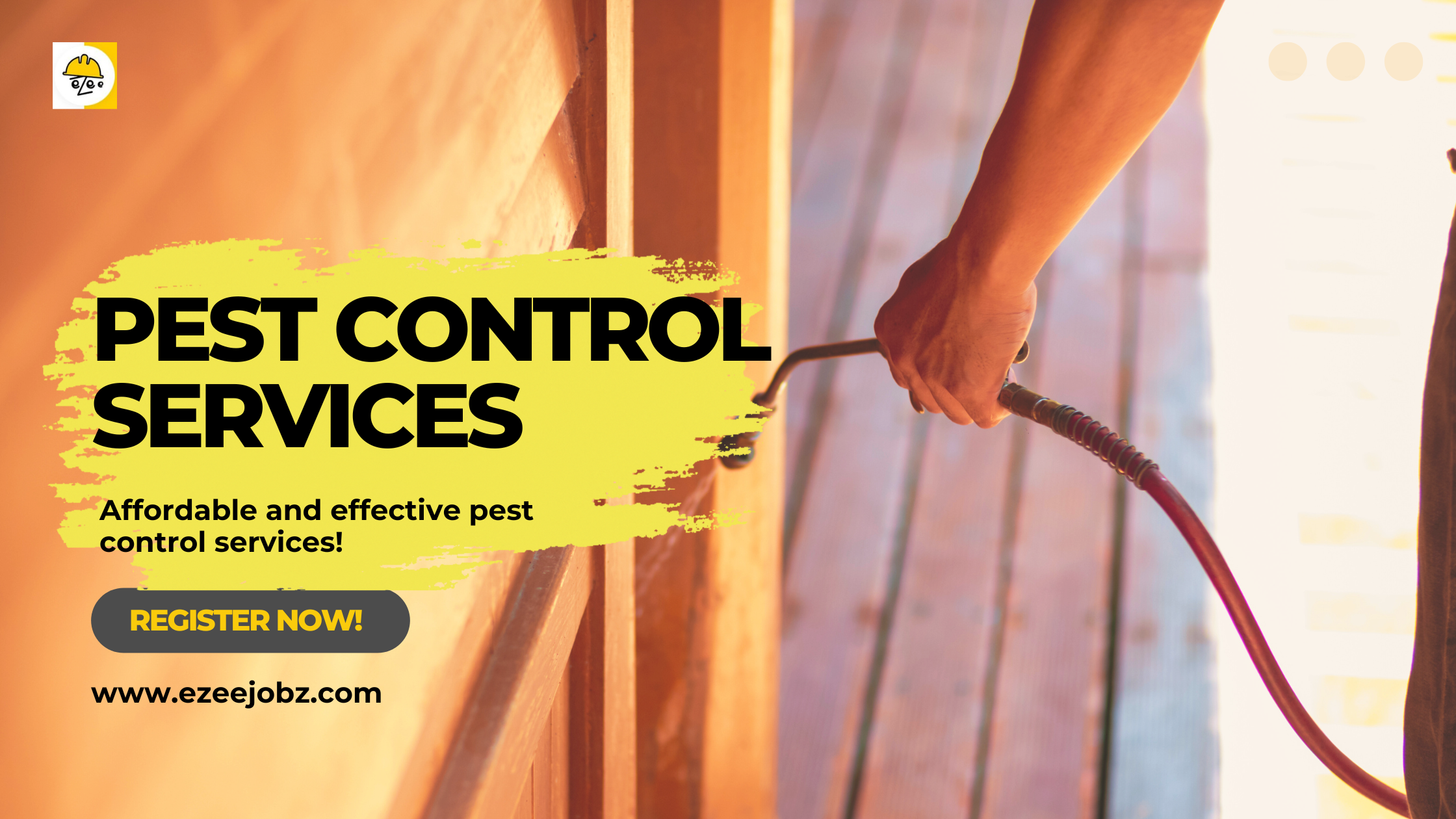 Comprehensive Guide to Pest Control Services: Keeping Your Home and Business Pest-Free