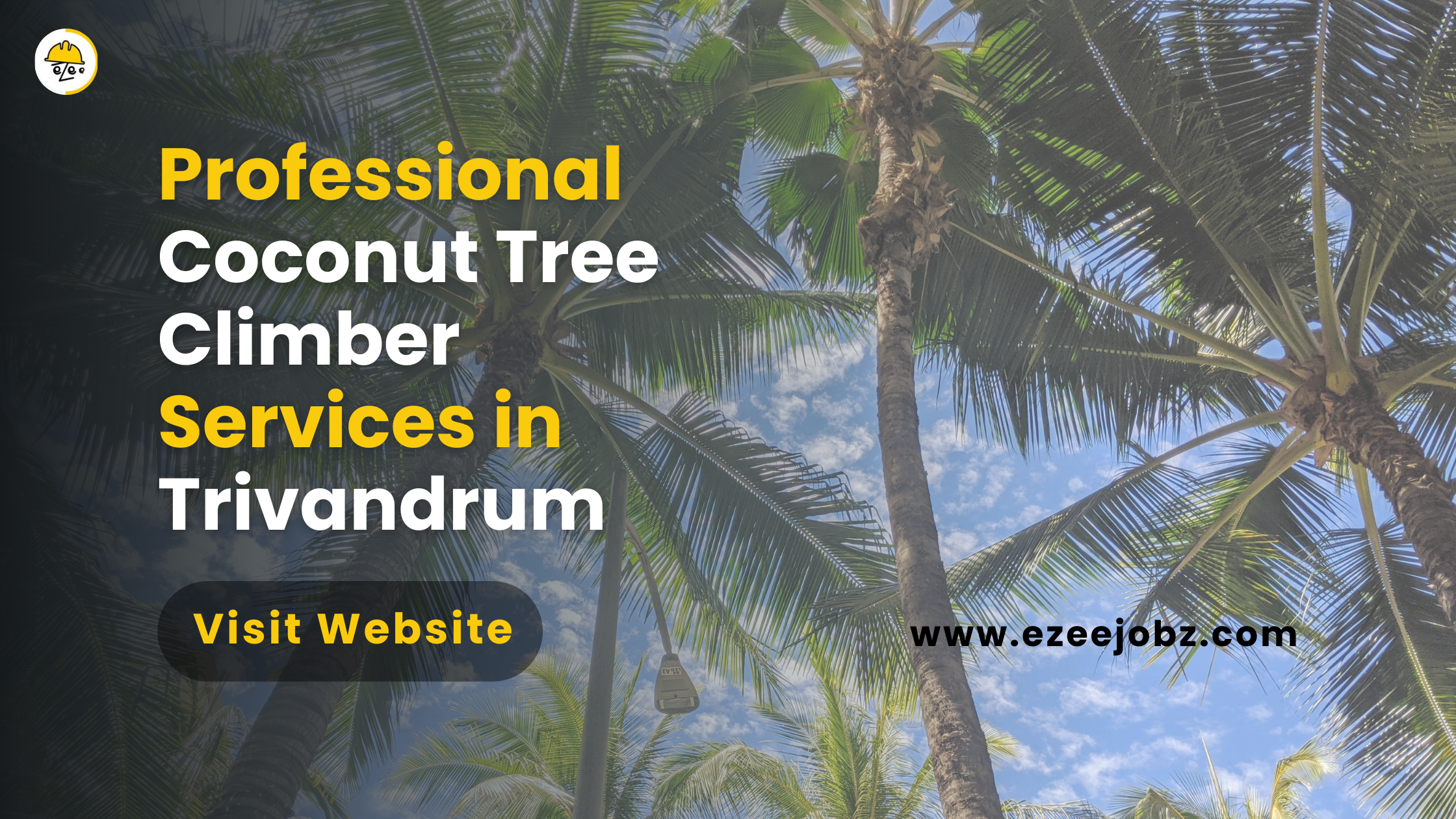 Why Hire a Professional Coconut Tree Climber: Expert Tips & Benefits